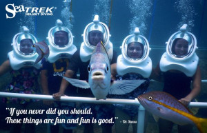 Inspirational Ocean Quotes #SeaTREK #InspirationalQuotes #DrSuess If ...