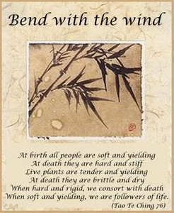 tao te ching thoughts {love this so much}