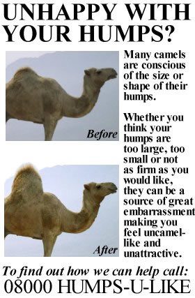 Unhappy With Your Humps