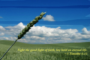 motivational wallpaper on life fight the good fight of faith