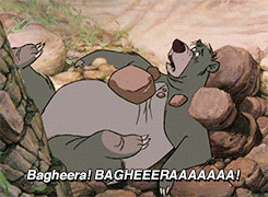 the monkeys have taken Mowgli away and have tricked Baloo into ...