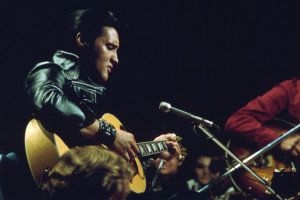 Doctors in european land tour companies IN