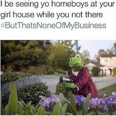 +quotes+tea | ... to the new Internet sensation...Kermit The Frog ...