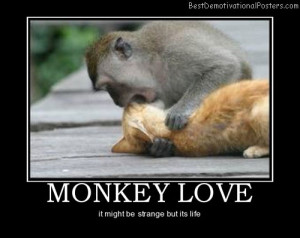 monkey-love-funny-and-loving-best-demotivational-posters