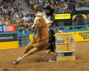Sherry Cervi And Dinero Estadisticas de las ganancias