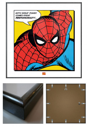 THE-AMAZING-SPIDER-MAN-FRAMED-ART-PRINT-POSTER-QUOTE-SIZE-16-x-16