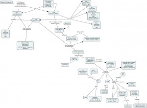 Adaptive Immune Response Concept Map