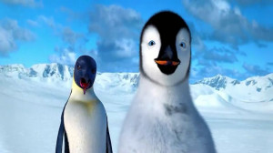 Pictures from video Note: To view in high resolution, click on them