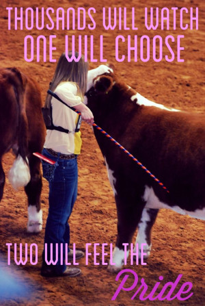 Sheep Quotes, Show Cattle Quotes Cows, Livestock Show Quotes, Cattle ...