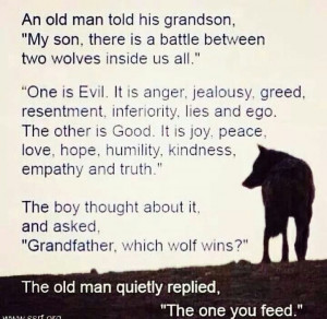 feed the right wolf # inspire # quotes