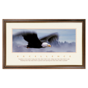 Excellence Eagle Special Edition Framed Motivational Poster