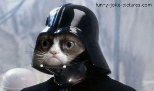 Funny Grumpy Cat Darth Vader Picture Image Photo Star Trek