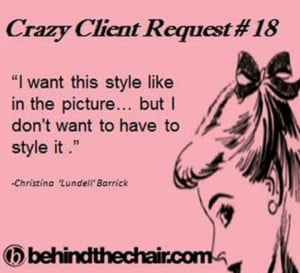 Hair Stylist Quotes Hairstylist's annoyance!