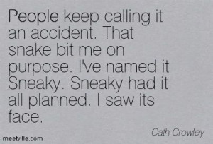 SNEAKY PEOPLE QUOTES | ... . Sneaky had it all planned. I saw its face ...