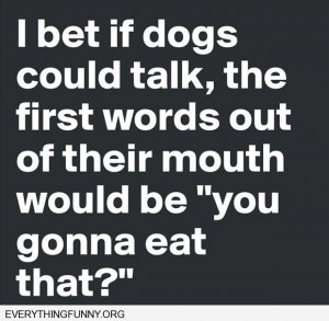 funny quote i bet if dogs could talk the first words would be you ...