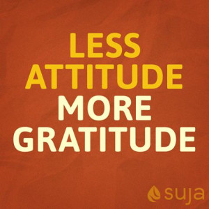 Namaste #quote #gratitude #yoga #suja #sujajuice #organic #detox # ...