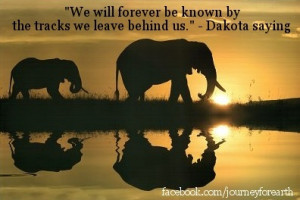 elephant quotes...and pic 1
