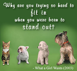 What a Girl Wants movie quote on positive thinking