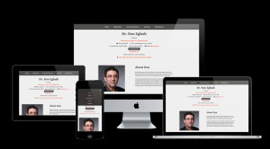 Ron Eglash Homepage Redesign Responsive