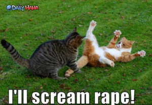 ... .net/images/2010/10/07/ill_scream_rape_lolcat.jpg_1286419498.jpg