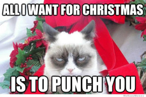 Grumpy Cat Christmas Memes