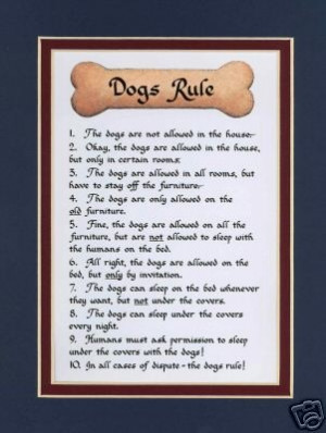 dog poetry 4 by patricia dog poetry 1 by patricia molly poetry amp ...