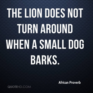 The Lion Does Not Turn Around When A Small Dog Barks.