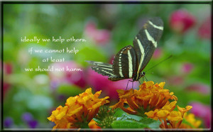 Christian Quotes About Serving Others http://www.pic2fly.com/Christian ...