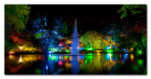 Thread: Festival of Lights - Pukekura Park - New Plymouth, NZ