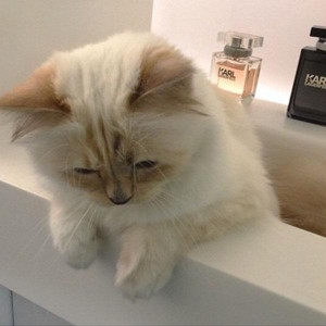 facebook twitter pinterest youtube google+ photo email