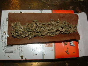 Rolling Blunts Girl Rolls