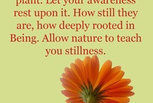 Great Quotes / by Kokokahn Essential Oils