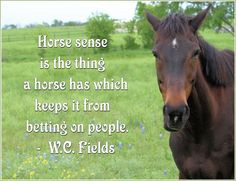 horse photo with quote by WC Fields, horse sense, photo by Valerie ...