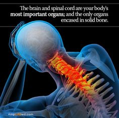 The brain controls every function of your body. The spine can ...