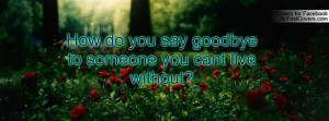 how do you say goodbye to someone you cant live without? , Pictures