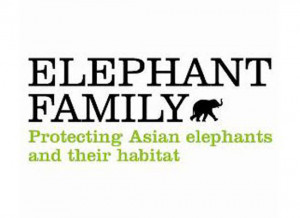 Tommy Hilfiger is an avid supporter of this noble cause. Established ...