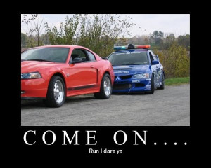 Go Back > Gallery For > Funny Mustang Quotes