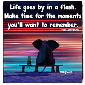 Life goes by in a flash.