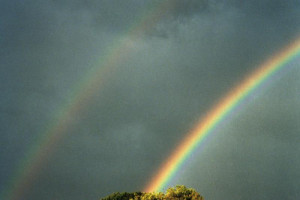 double rainbow kenny joens radio