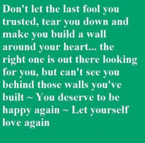 let the last fool you trusted tear you down and make you build a wall ...