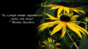 Nelson Mandela quote HD Wallpaper 1920x1080