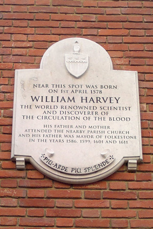 Image search: William Harvey
