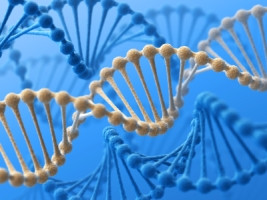 Genetic testing not always covered by insurance