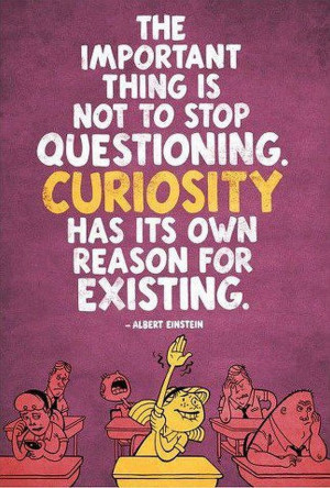 Albert Einstein The Important Thing Is Not To Stop Questioning ...
