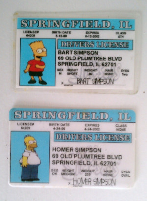 homer simpson drivers license