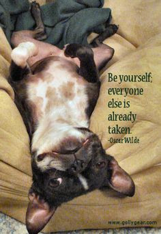 ... Wilde, Quote. French Bulldog. french bulldog quotes, french bulldogs