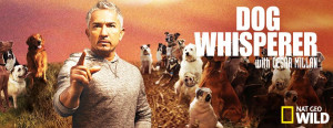 Dog Whisperer on Discovery Channel