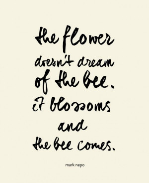 Flowers Blossoms Wildflowers Quotes Poems Sayings