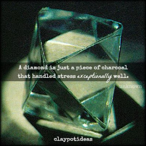 diamond is just a piece of charcoal that handled stress ...