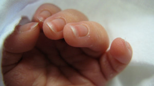 new_born_baby_hand_0.jpg